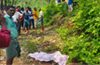 Puttur: Woman killed in wild elephant attack near Perlampady